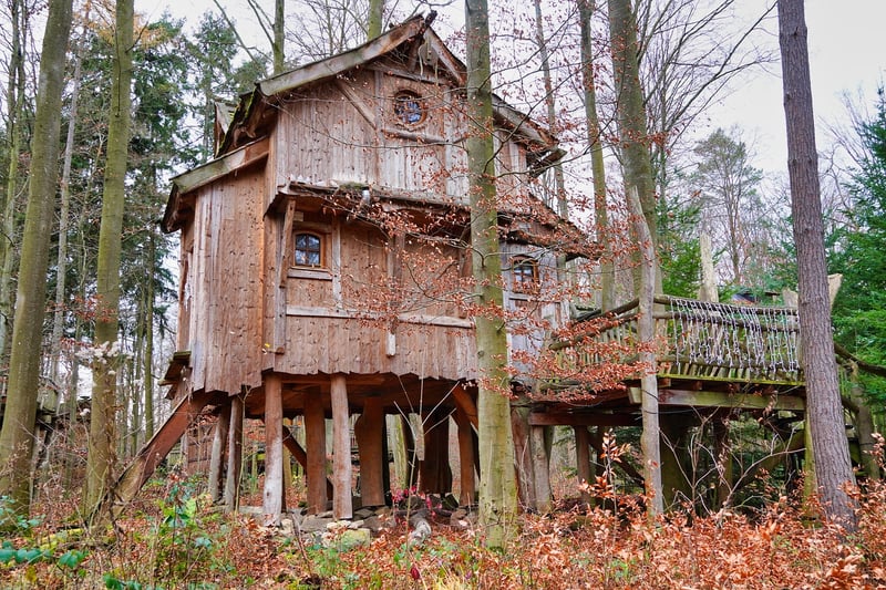 Enchanted Treehouse